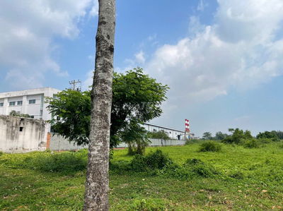 BÁN ĐẤT KHU CÔNG NGHIỆP LONG HẬU – CẦN GIUỘC, LONG AN