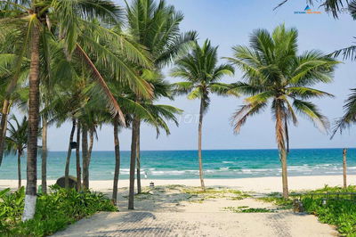 Bán Căn Hộ CC THE SANG tầng 28 view Biển - Pháp Lý Minh Bạch