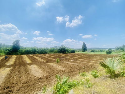 Mình đứng tên trên sổ cần bán đất vườn mặt tiền nhựa, sổ Ri