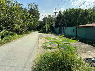 MT đường NGUYỄN THỊ DÒN, dt 2.155m2, có 230m thổ cư.