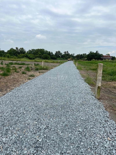 1000m2 lúa sạch đẹp . Đường đá xanh 3m ô tô đến đất