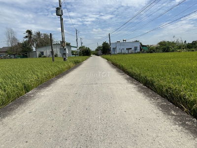 289 Triệu 143m2 Thổ Cư Sổ Sẵn, Giáp Bến lức, Kế KCn AN Nhưt Tân