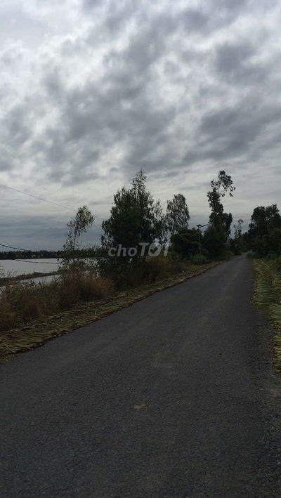 11427m2 đất lúa có 1405m2 thổ cư (125x91) MT kênh xã Mộc Hóa 2,3 tỷ