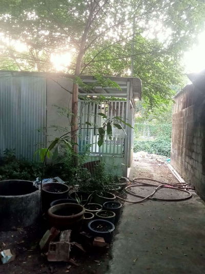 Do về quê sống nên cần bán đất có sẵn nhà ton