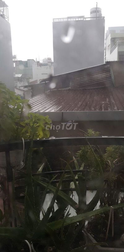 Cho thuê phòng 176/14 Trần Q.Thảo,q3 hcm.  3 tr/tháng, giao ngay.