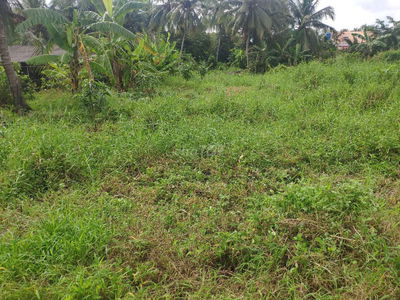 Đất thổ cư , cách Quốc lộ 50B đang thi công 200 met