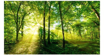 Bán căn hộ 2pn 2wc Dt 68m2 Celadon city