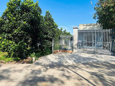 Chính Chủ Bán Vườn Mít Thái, 680m2 thổ cư 300m2, Gần Chợ, Gần Ủy Ban