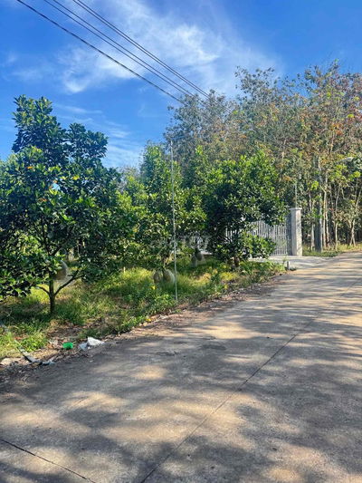 Đất vườn mít có 100m thổ cư ở xã Phước Thành TPHCM