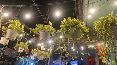 CẦN SHARE GỐC SÂN BUỔI SÁNG 3TR/ TRỊNH ĐÌNH TRỌNG