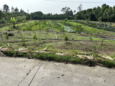 Cần bán lô đất mặt tiền đường 50m