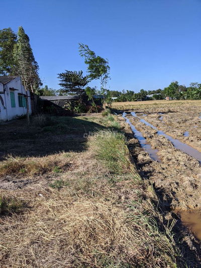 Cần tiền nên bán