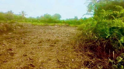 BÁN ĐẤT NỀN LONG AN GIÁ RẺ