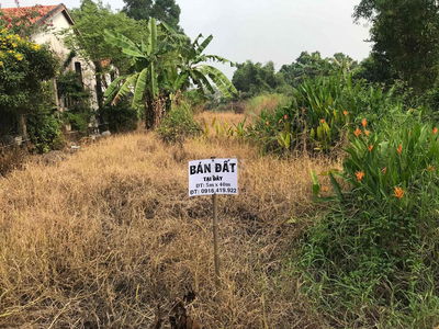 Cần bán Gấp 200m2 đất, Trước tết. gần chợ Bình Chánh