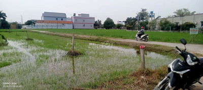 BÁN LÔ ĐẤT THỔ CƯ DT 500 M2 TẠI ĐỨC HÒA ĐÔNG