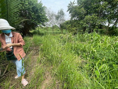 BÁN đất Sào tại xã Tam An - sát Cầu Vàm Cái Sứt và Aqua city, cc ngay