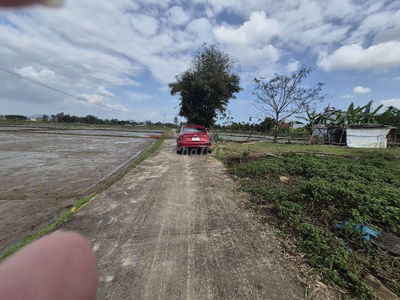 ❇️❇️❇️MÌNH CẦN BÁN LÔ THÔN THÁI SƠN , ĐIỆN TIẾN, VIEW ĐỒNG