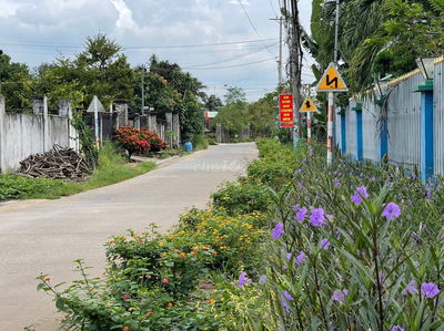 Nhà Ở Lộc An Long Thành Gần Sân Bay Thanh Toán Linh Hoạt  Giá Tốt 2026