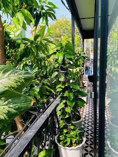 CAN SHARE MAT BANG KINH DOANH