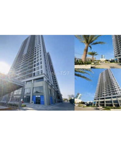 CĂN HỘ LAVIDA PLUS – VIEW HỒ BƠI, GẦN RMIT 🔥