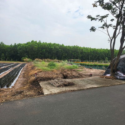 Bán đất kinh doanh gần cổng chính kcn Đất Đỏ 190.5m2