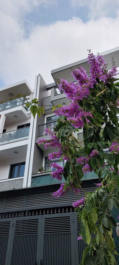 Phòng trọ cao cấp 30 m3, KDC Đại Phúc- Bình Hưng