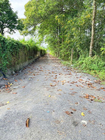 cần bán đất nghỉ dưỡng