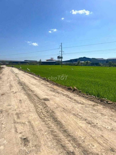 đất thổ cư giá rẻ gần trung tâm