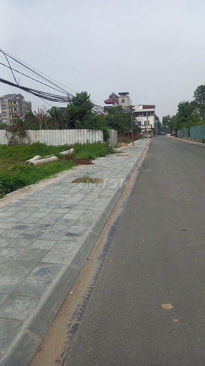 Đất sổ đỏ 50 năm 257m2 mặt đường nhựa 12m