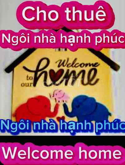 Nhà ở riêng;đg Quang Trung;nhà thờ Thông-Tây;ĐDchợ đêm Thông-Tây.Gíarẻ