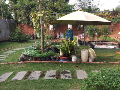 Bán nhà vườn, hay cho thuthành phố BH,cách đường Phạm Văn Thuận 250m