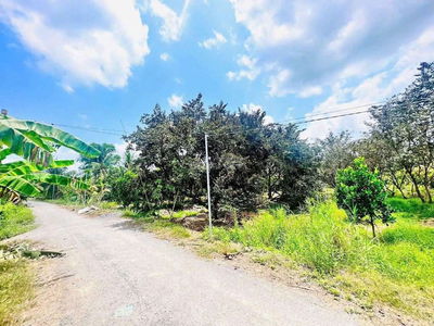 Cần bán 200m vuông đất full thổ cư Sổ Hồng Sẵn