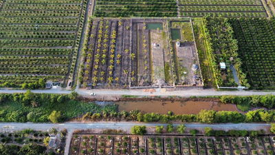 1000mv Đất Vườn 12×83 ,Đường thể hiện sổ 12m Giá 768tr