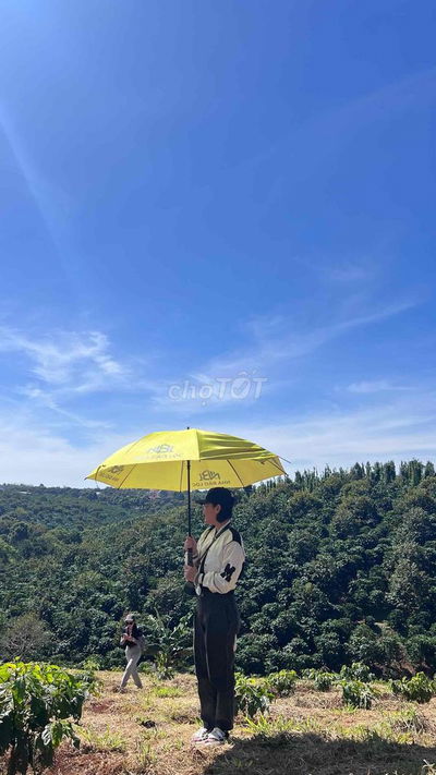 CHỈ 490tr SỞ HỮU NGAY 184m2 đất sổ sắn có 90m2 THỔ CƯ TẠI BẢO LỘC