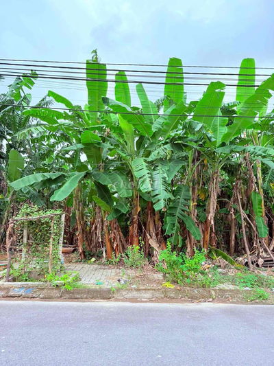 Bán đất Trần Viện đường 7,5m hướng đông nam Hoà Xuân Cẩm Lệ Đà Nẵng re