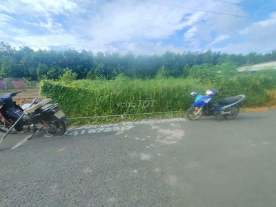 BÁN NHANH LÔ ĐẤT NGANG 10 MẶT TIỀN ĐƯỜNG NHỰA CÓ THỔ CƯ TẠI TP.HCM