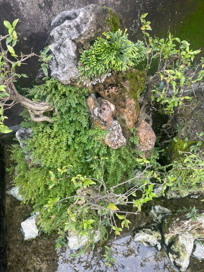 Bán căn nhà hẻm 182 đường Hiệp Bình 110m2 2ti990tr bớt ít