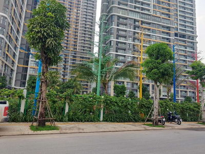 Đất nền biệt thự gần The Rivus chỉ 24 tỷ