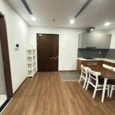 cho thuê căn hộ 2 PN 70m2 chung cư Ecogreen Q7