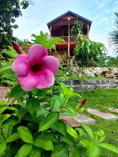 Anh Chị cần bán gấp lô đất vườn view hồ trị an giá rẻ