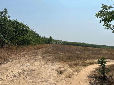 Mt đường nhựa 5078 m p hòa lợi , bến cát , bình dương [ tphcm ]