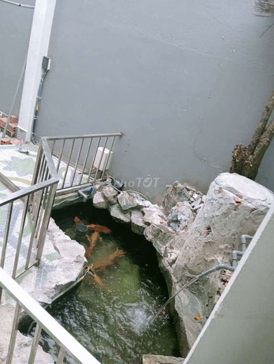 Cho thuê nhà nguyên căn