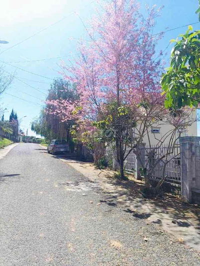 Xả lỗ bán gấp 18 tỷ hạ giá còn 14,5 tỷ