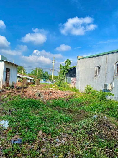 BÁN ĐẤT VƯỜN GIÁ RẺ BẾN CÁT - DT 262m2 GIÁ 920TR - Gần chợ Thùng Thơ