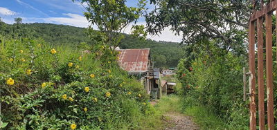 🏡 Cho thuê nhà gỗ sân vườn nghỉ dưỡng tại Đà Lạt, Gần Thác Prenn 🌿