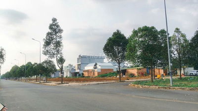 Mua nền thổ cư 240m2 trung tâm Dầu Giây, tt 30% - 1.1 tỷ nhận nền, shr