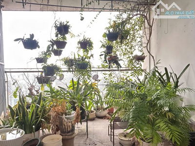 Giá siêu tốt Căn Hộ Chung Cư TSQ Mộ Lao Hà Đông, Giá nhỉnh 60 Triệu/m2.