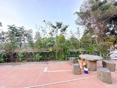 Cho thuê biệt thự vườn diện tích hơn 1000m2 . Gần chợ thanh Hóa