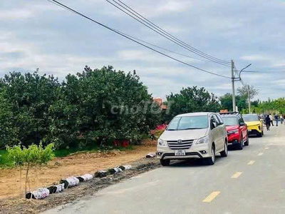 Cần Bán Gấp Miếng Đất 250m2 Ngay Trung Tâm Trừ Văn Thố Bàu Bàng