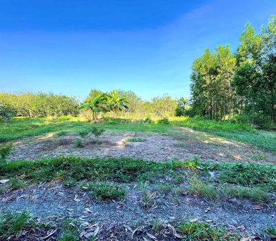 XẢ LỔ CẦN BÁN GẤP TRƯỚC TẾT